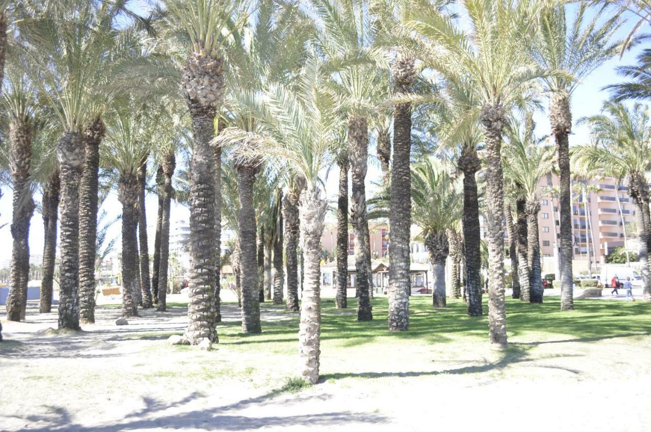 شقة توريمولينوس  في Triana المظهر الخارجي الصورة