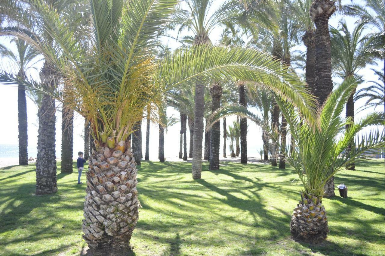 شقة توريمولينوس  في Triana المظهر الخارجي الصورة